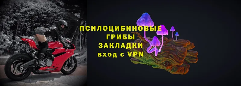 Псилоцибиновые грибы MAGIC MUSHROOMS  Ленинск 